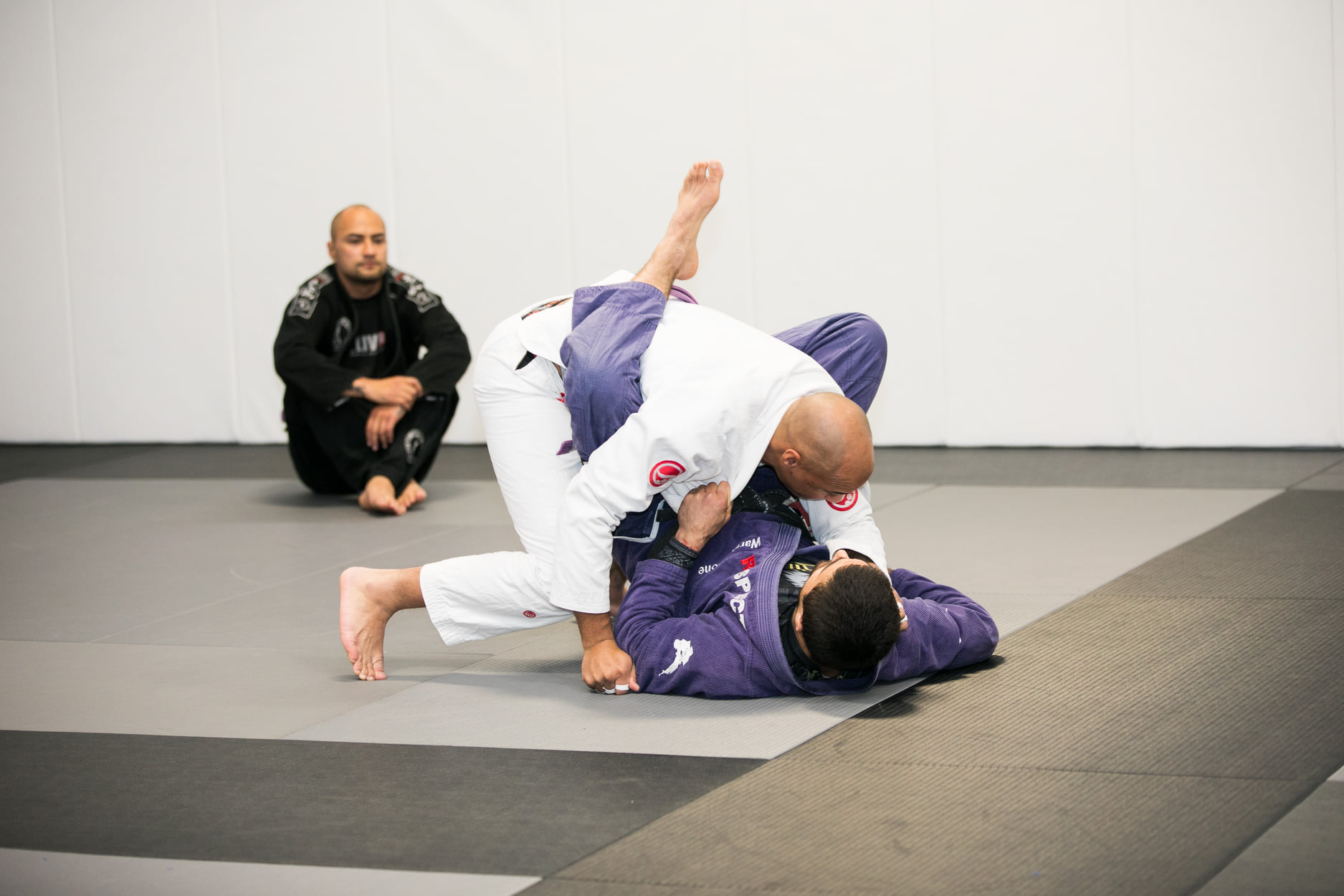 Private Class with BJJ Coach up to 4 participants Mount Maunganui